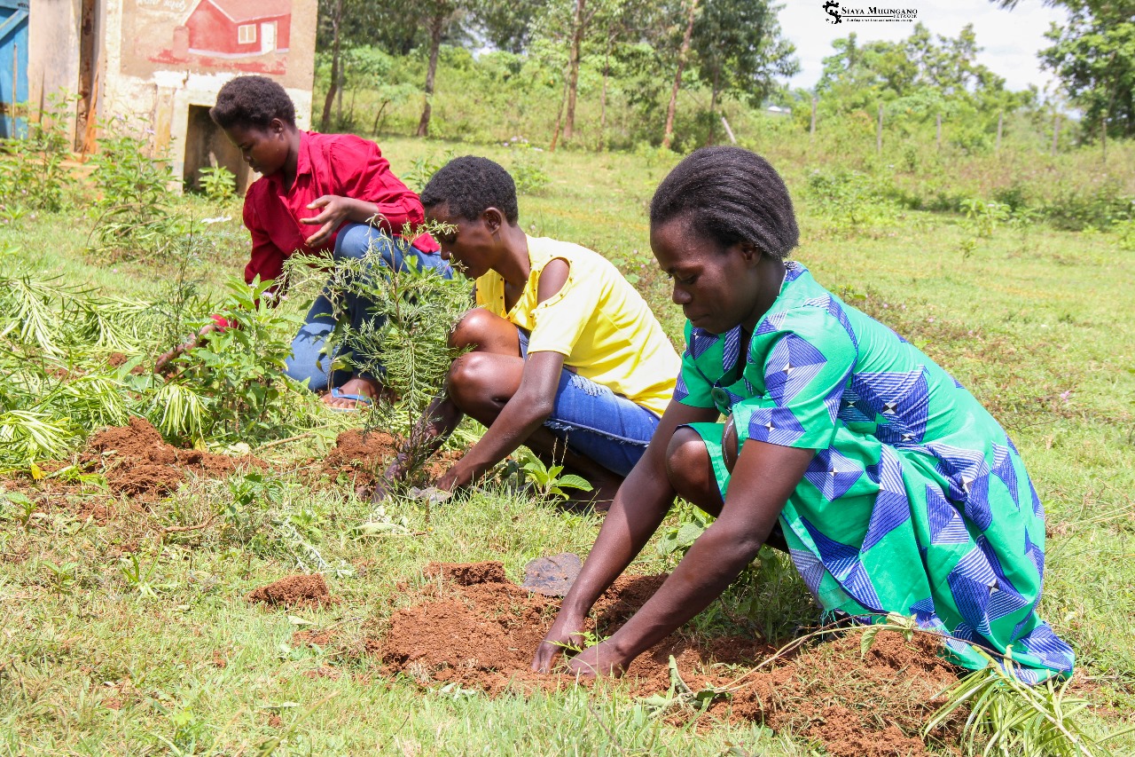 Tree Planting Initiative